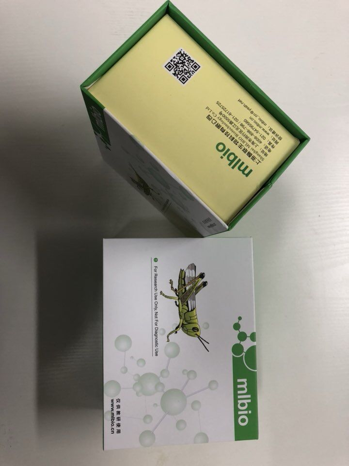 人内磺肽α(ENSα)ELISA试剂盒