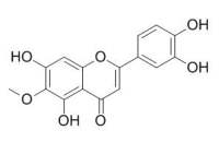 6-Methoxyluteolin 泽兰黄酮； 6-甲氧基藤黄菌素 CAS:520-11-6