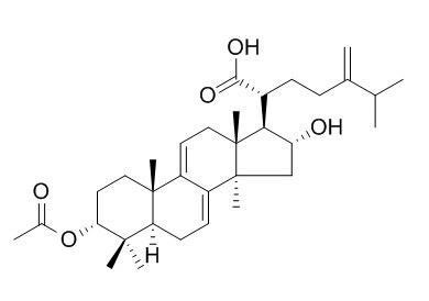 3-Epidehydropachymic acid 3-表去氢茯苓酸 CAS:168293-15-0