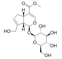 Geniposide 栀子苷,CAS:24512-63-8