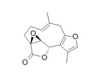 Linderane 乌药醚内酯 CAS:13476-25-0