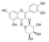 Guaijaverin 番石榴苷CAS:22255-13-6