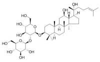 20(R)-Ginsenoside Rg3 R型人参皂苷Rg3 CAS: 38243-03-7
