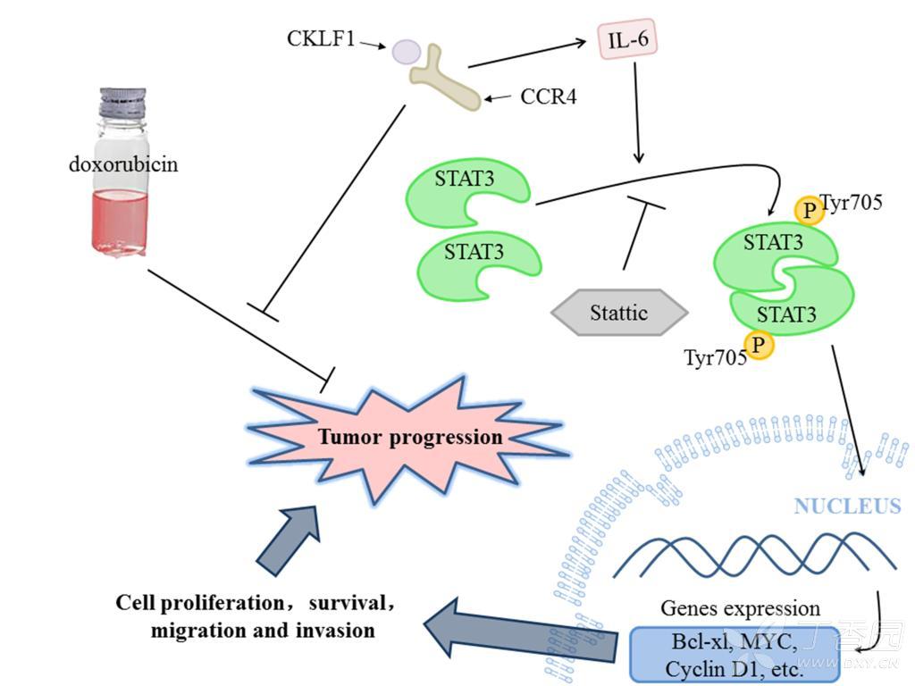 华为申请虚拟通路建立方法及装置专利提高音视频业务流的传输路径变更的灵活性