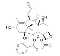 Baccatin III 巴卡亭III,CAS:27548-93-2