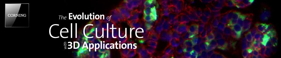 3D 细胞培养应用发展