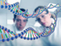 生物医学标书基金课题