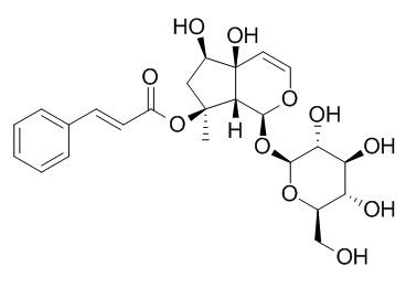 Harpagoside 哈巴俄苷 CAS:19210-12-9