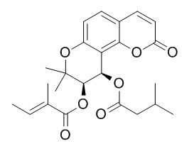 Praeruptorin C 白花前胡丙素 CAS:72463-77-5