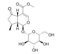 Cornin 马鞭草苷 CAS:548-37-8
