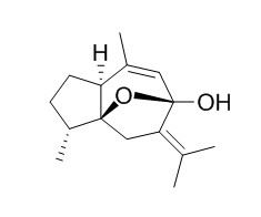 4-Epi-curcumenol 4-表-莪术醇 CAS:350602-21-0