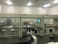 人G蛋白偶联受体109A(GPR109A)ELISA试剂盒