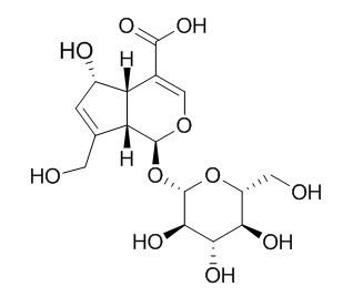 Deacetylasperulosidic acid 去乙酰基车叶草苷酸 CAS:14259-55-3