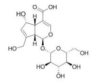 Deacetylasperulosidic acid 去乙酰基车叶草苷酸 CAS:14259-55-3