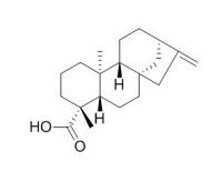 Kaurenoic acid 异贝壳杉烯酸 CAS:6730-83-2
