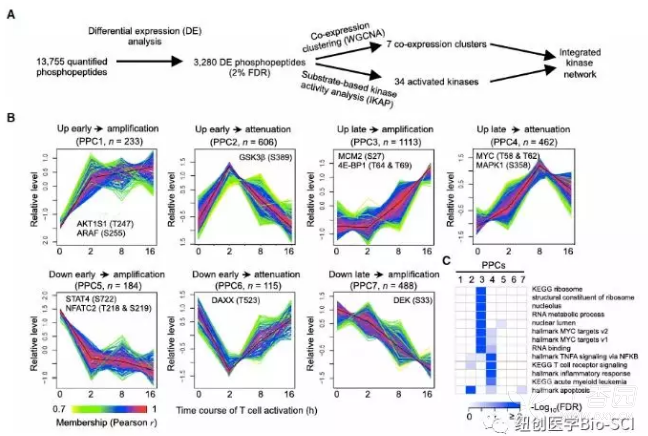 g蛋白结合gdp是被磷酸化吗_蛋白线是蓝色吗(2)