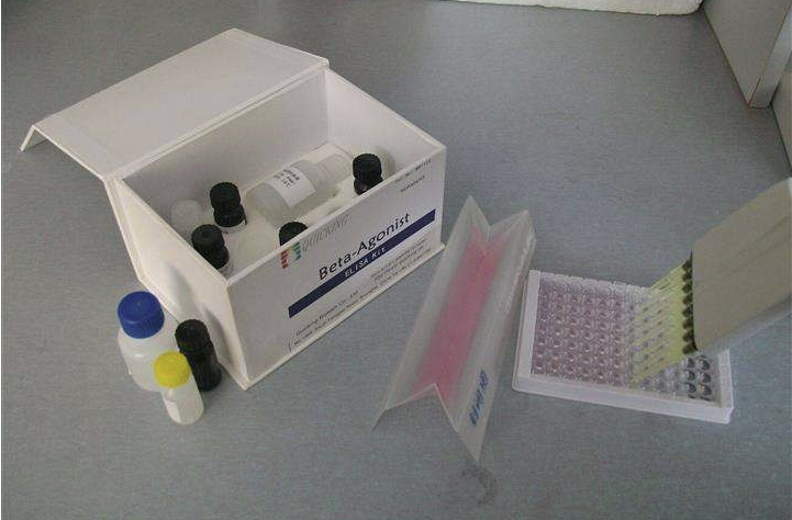 人内分泌腺来源的血管内皮生长因子(EG-VEGF)ELISA检测试剂盒