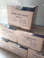 96孔板病毒RNAOUT