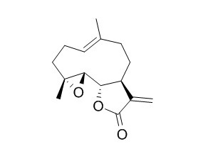 Parthenolide 小白菊内酯 CAS:20554-84-1