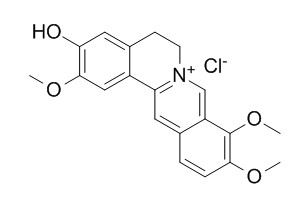 Jatrorrhizine Hydrochloride 盐酸药根碱, CAS:6681-15-8