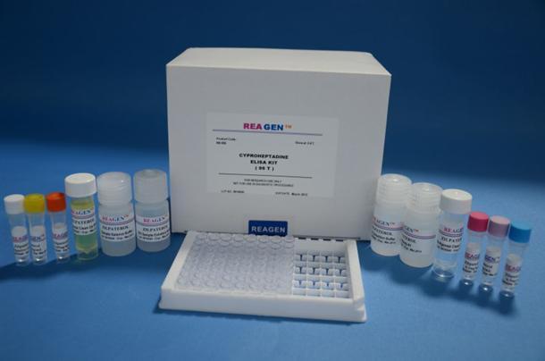 人可溶性血管内皮生长因子受体2(VEGFR-2/sFLK-1)ELISA检测试剂盒