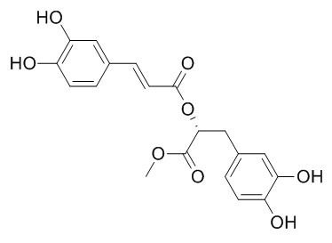 Methyl rosmarinate 迷迭香酸甲酯 CAS:99353-00-1