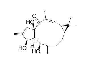 Lathyrol 千金子二萜醇 CAS:34420-19-4