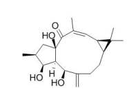 Lathyrol 千金子二萜醇 CAS:34420-19-4