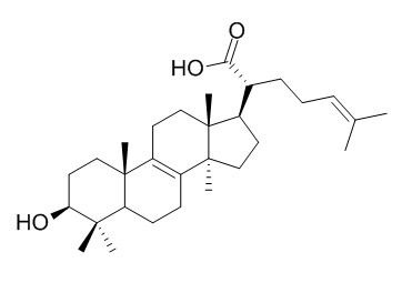 Trametenolic acid 3β-羟基-羊毛甾-8,24-二烯-21-酸 CAS:24160-36-9