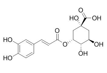Neochlorogenic acid 新绿原酸 CAS号:906-33-2
