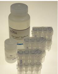 SBI rno-miRNome MicroRNA Profiling Kit (Rat) 