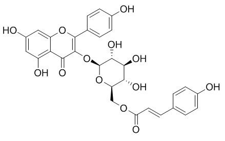 Tiliroside 椴树苷,CAS:20316-62-5