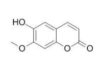 Isoscopoletin 异莨菪亭,CAS:776-86-3