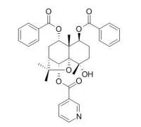 Regelidine 黑蔓定碱 CAS:114542-54-0
