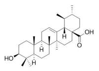 Ursolic acid 熊果酸 CAS:77-52-1