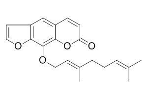 8-Geranyloxypsoralen 8-香叶草氧基补骨脂素 CAS: 7437-55-0