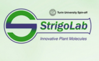 StrigoLab