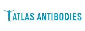 Atlas antibodies