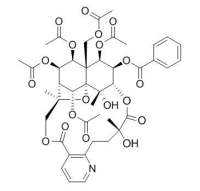 Wilfordine 雷公藤定碱 CAS:37239-51-3