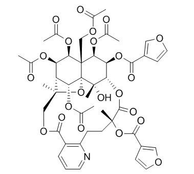 Triptonine B CAS:168009-85-6