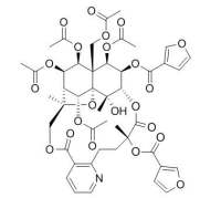 Triptonine B CAS:168009-85-6