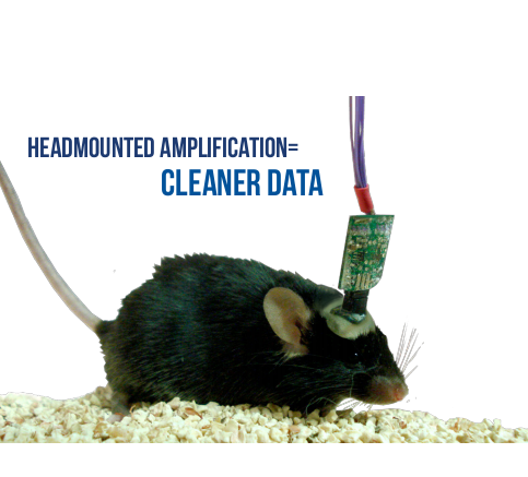 大小鼠脑电肌电测量仪，动物EEG&EMG记录系统