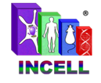 INCELL