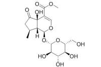 Hastatoside 戟叶马鞭草苷CAS：50816-24-5