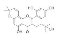 Morusinol 桑根皮醇 CAS:62949-93-3