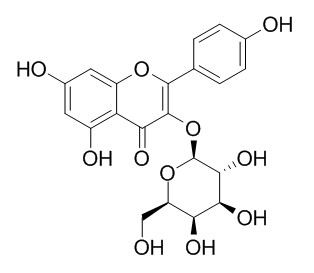Kaempferol-3-O-galactoside 三叶豆苷 CAS:23627-87-4