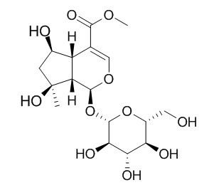 Shanzhiside methylester 山栀苷甲酯 CAS:64421-28-9