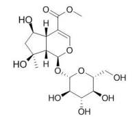 Shanzhiside methylester 山栀苷甲酯 CAS:64421-28-9