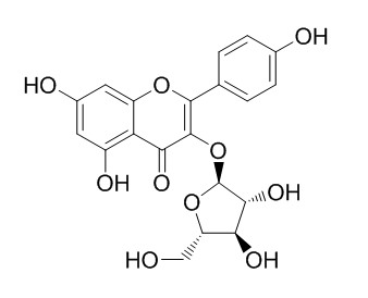 Juglanin 胡桃苷 CAS：5041-67-8