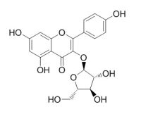 Juglanin 胡桃苷 CAS:5041-67-8